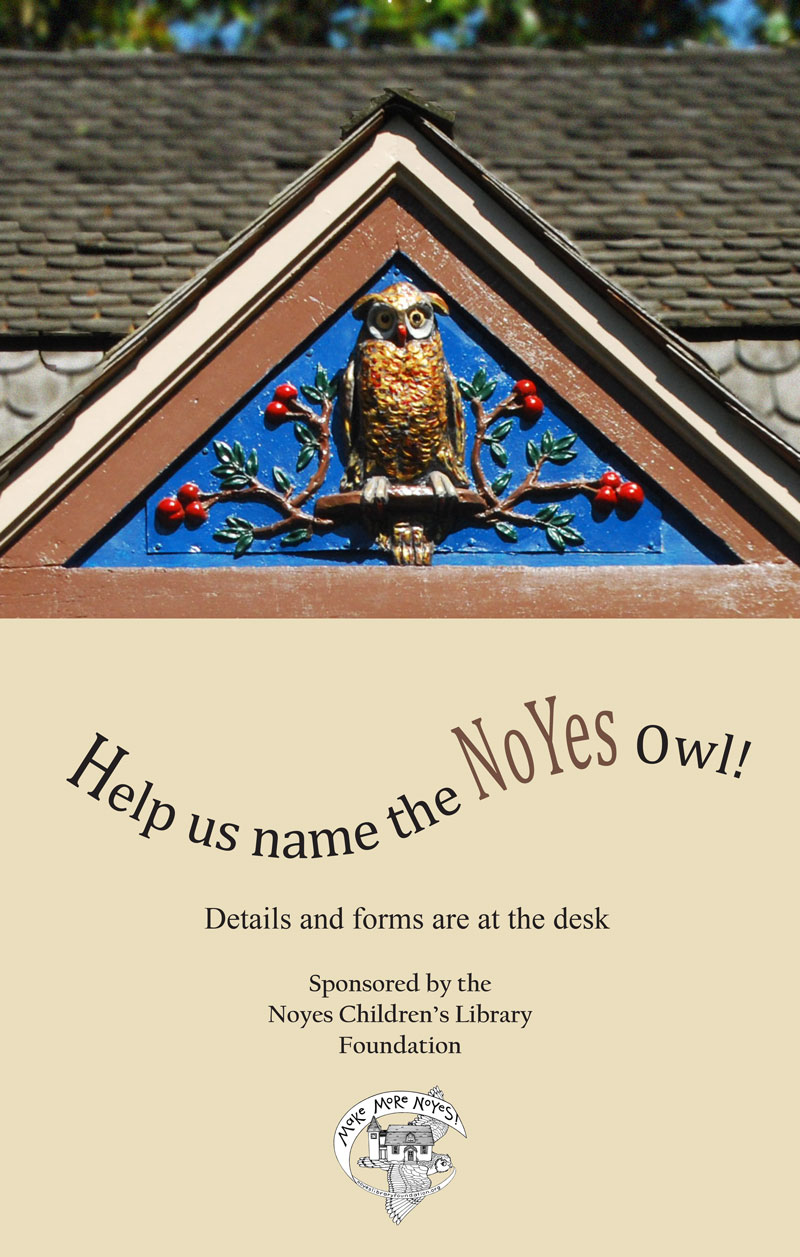 Noyes Owl Naming Poster